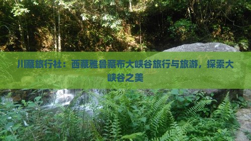 甘孜去西藏雅鲁藏布大峡谷旅行社