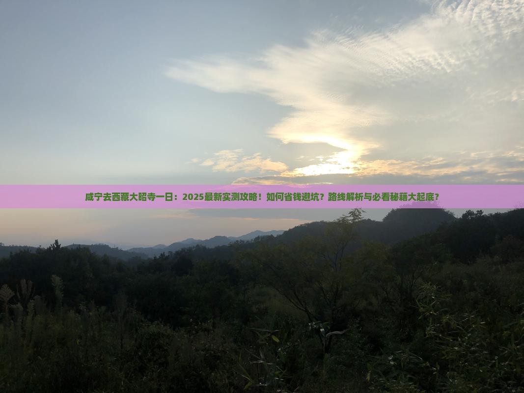咸宁去西藏大昭寺一日