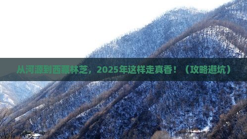 河源到西藏林芝自由行