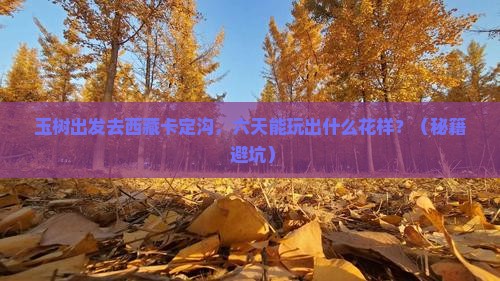 玉树到西藏卡定沟六日游