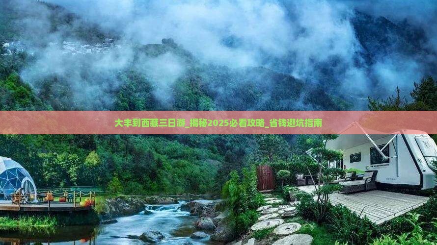 大丰到西藏三日游