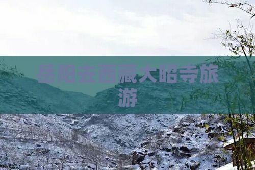 岳阳去西藏大昭寺旅游
