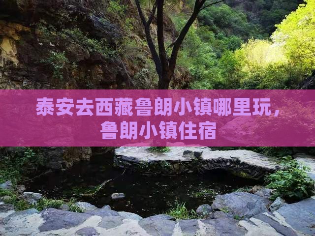 泰安去西藏鲁朗小镇哪里玩