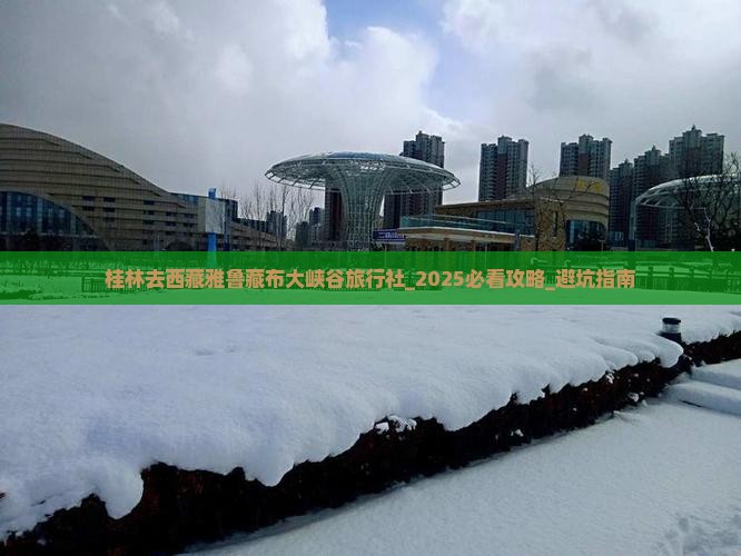 桂林去西藏雅鲁藏布大峡谷旅行社