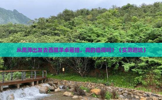 鹰潭去西藏羊卓雍措攻略