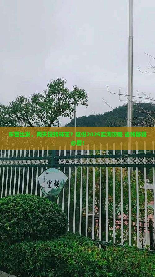 东营到西藏林芝二日游