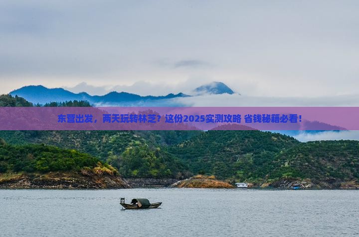 东营到西藏林芝二日游