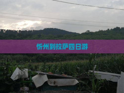 忻州到西藏拉萨四日游