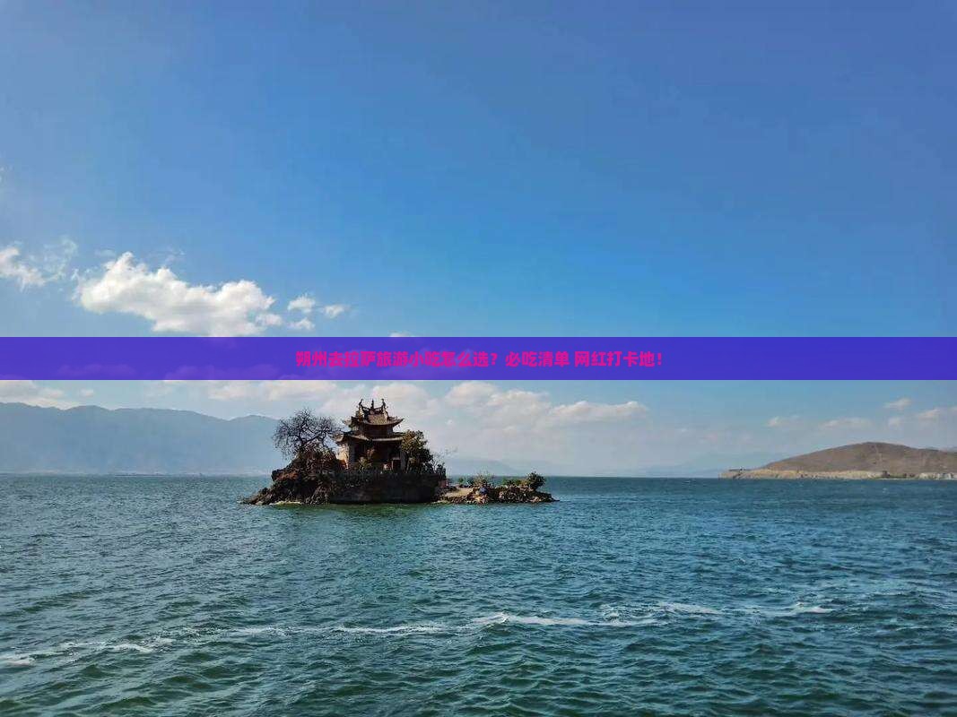 朔州去西藏拉萨旅游小吃