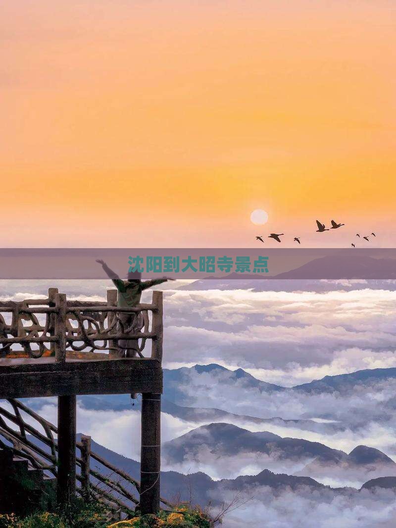 沈阳到西藏大昭寺景点
