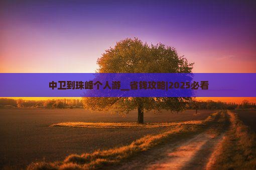 中卫到西藏珠峰大本营个人游