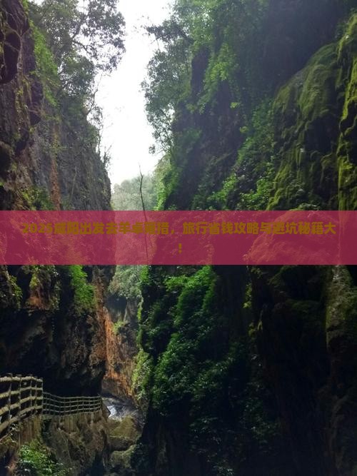 咸阳去西藏羊卓雍措旅行社