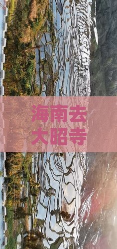 海南去西藏大昭寺景点