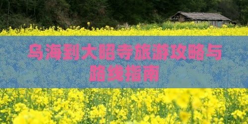 乌海市到西藏大昭寺攻略