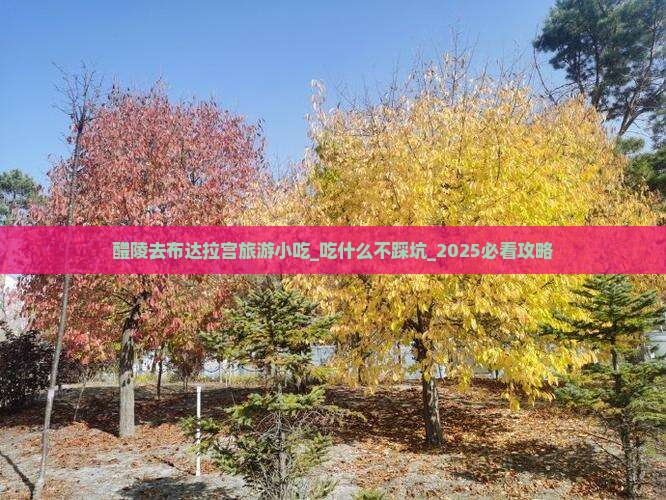 醴陵去西藏布达拉宫旅游小吃