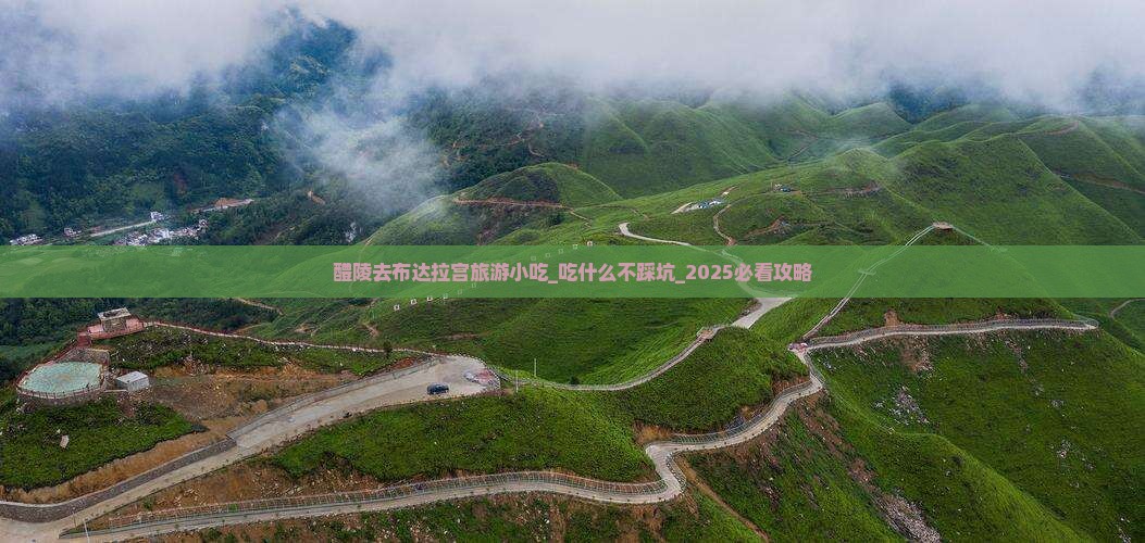 醴陵去西藏布达拉宫旅游小吃
