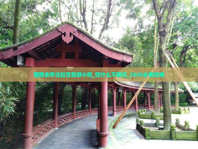 醴陵去西藏布达拉宫旅游小吃