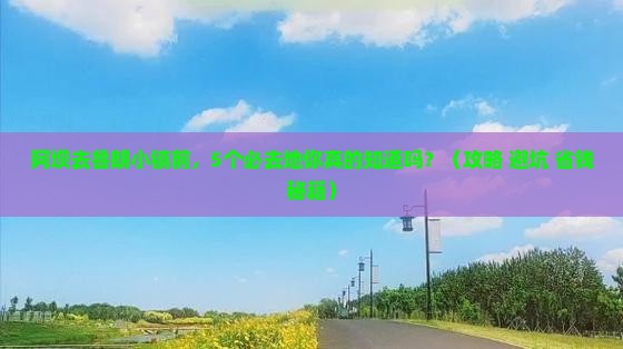 阿坝去西藏鲁朗小镇必去地