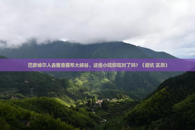 巴彦倬尔去西藏雅鲁藏布大峡谷旅游小吃
