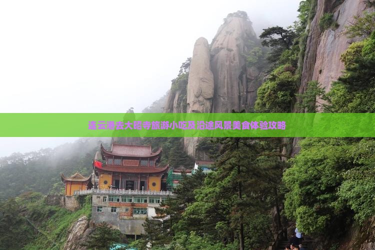 连云港去西藏大昭寺旅游小吃