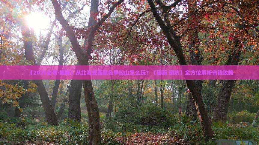 北海去西藏色季拉山哪里玩