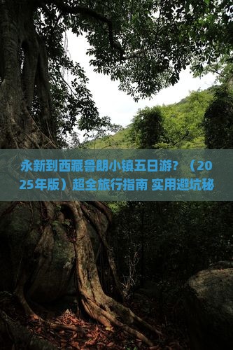 永新到西藏鲁朗小镇五日游