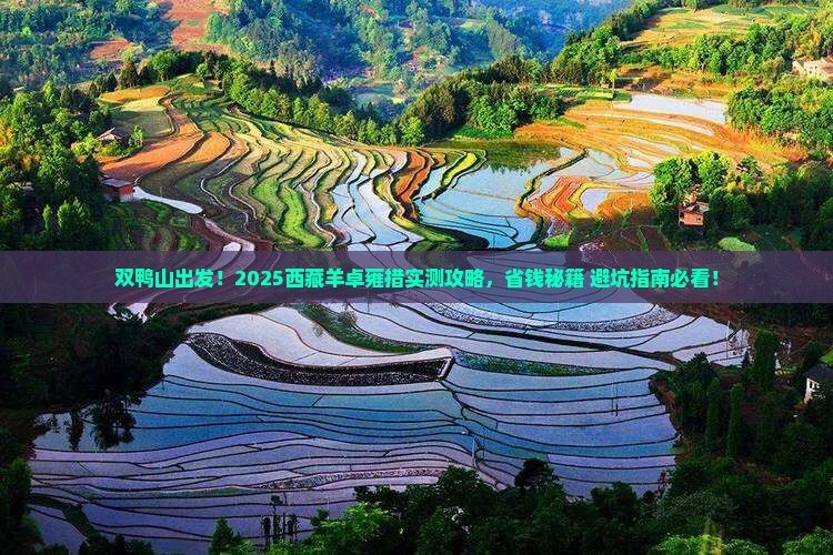 双鸭山去西藏羊卓雍措旅行社