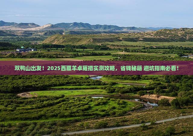 双鸭山去西藏羊卓雍措旅行社