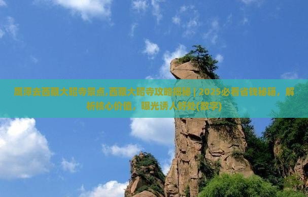 鹰潭去西藏大昭寺景点