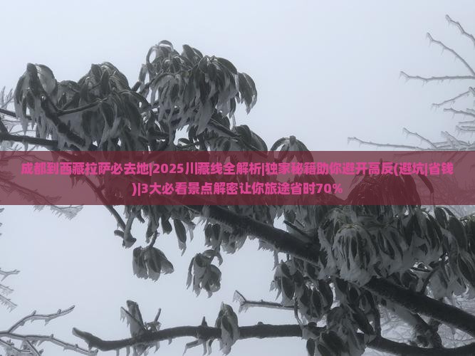 成都到西藏拉萨必去地 成都到西藏拉萨必去地