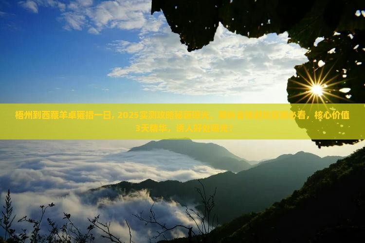 梧州到西藏羊卓雍措一日