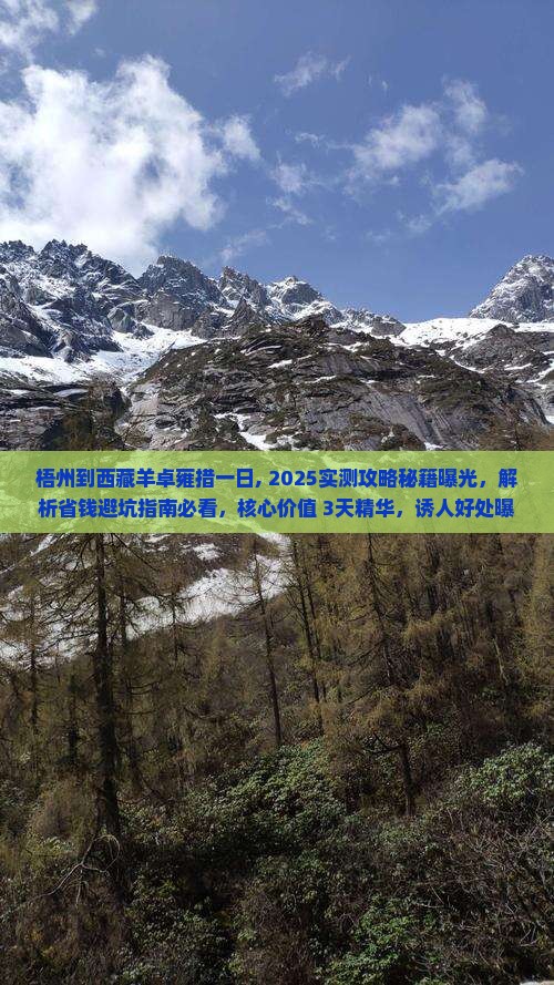 梧州到西藏羊卓雍措一日