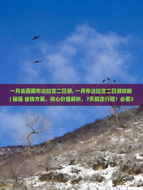 一月去西藏布达拉宫二日游