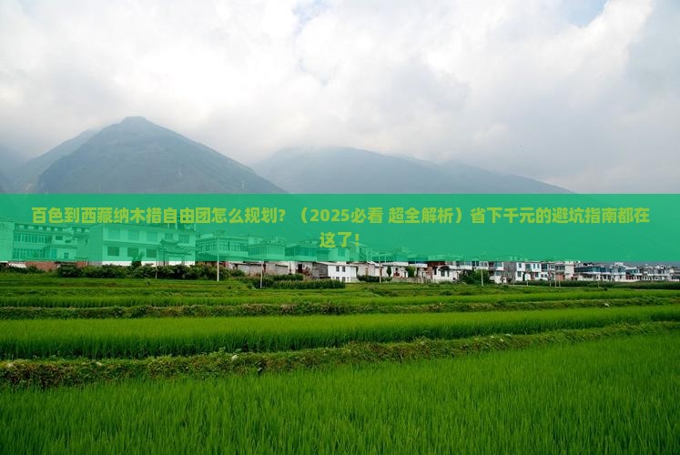 百色到西藏纳木措自由团