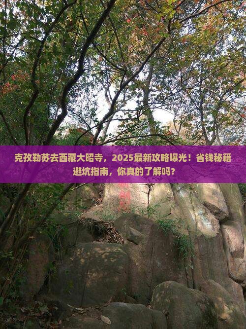 克孜勒苏去西藏大昭寺哪里玩
