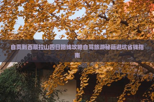 自贡到西藏色季拉山四日游 自贡到西藏色季拉山四日游