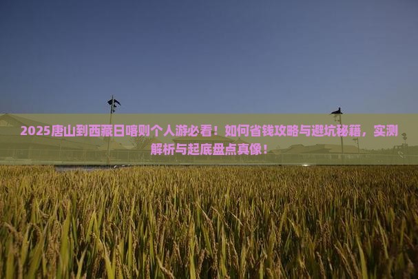 唐山到西藏日喀则个人游