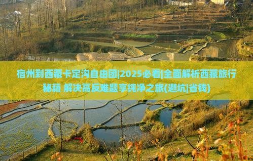 宿州到西藏卡定沟自由团