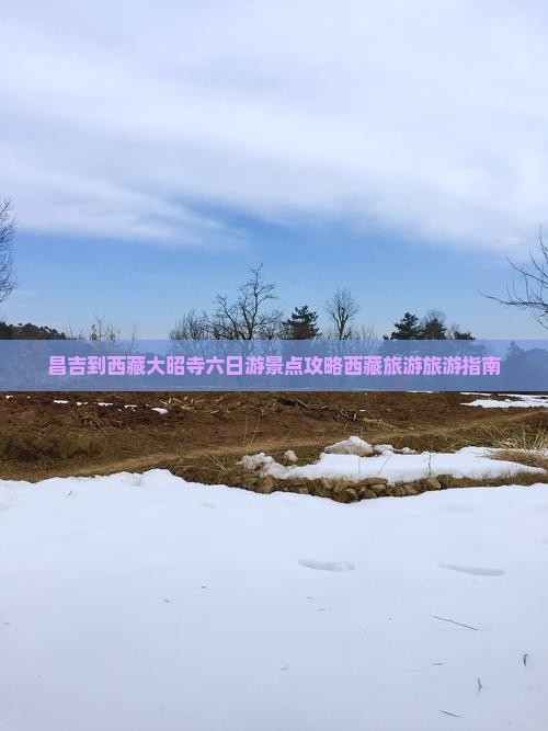 昌吉到西藏大昭寺六日游