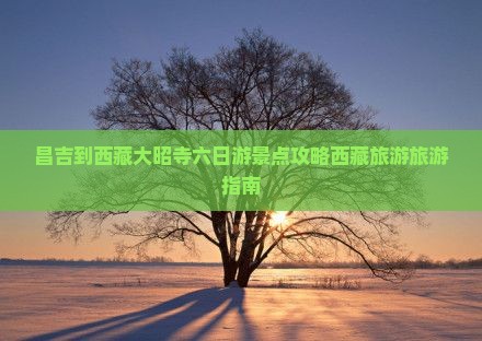 昌吉到西藏大昭寺六日游