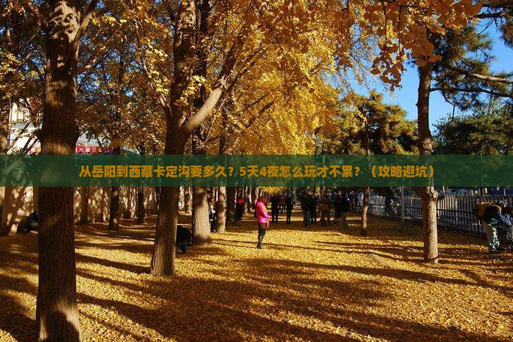 岳阳到西藏卡定沟攻略