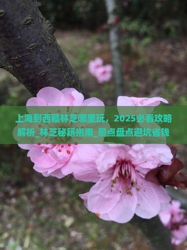 上海到西藏林芝哪里玩