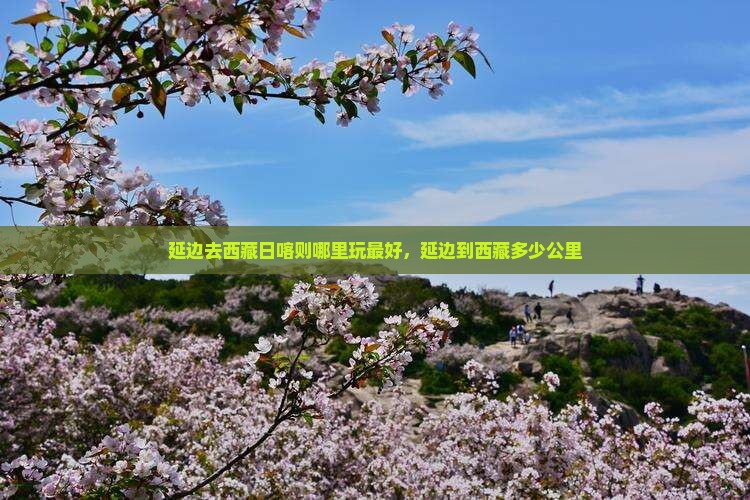 延边去西藏日喀则哪里玩