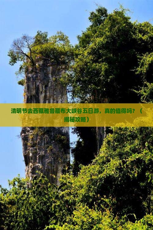 清明节到西藏雅鲁藏布大峡谷五日游