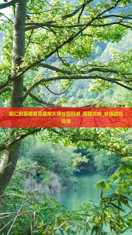 铜仁到西藏雅鲁藏布大峡谷四日游