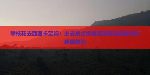 攀枝花去西藏卡定沟必去地