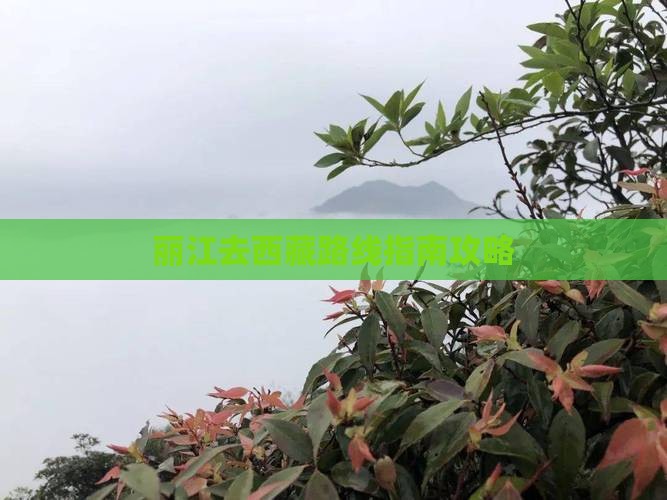 丽江去西藏攻略