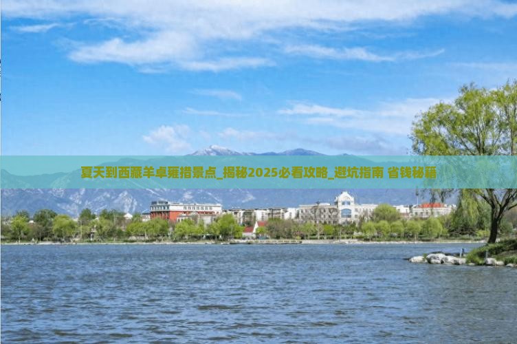 夏天到西藏羊卓雍措景点
