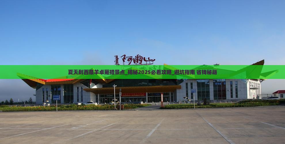 夏天到西藏羊卓雍措景点