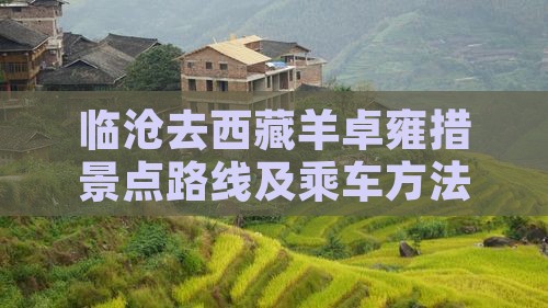 临沧去西藏羊卓雍措景点